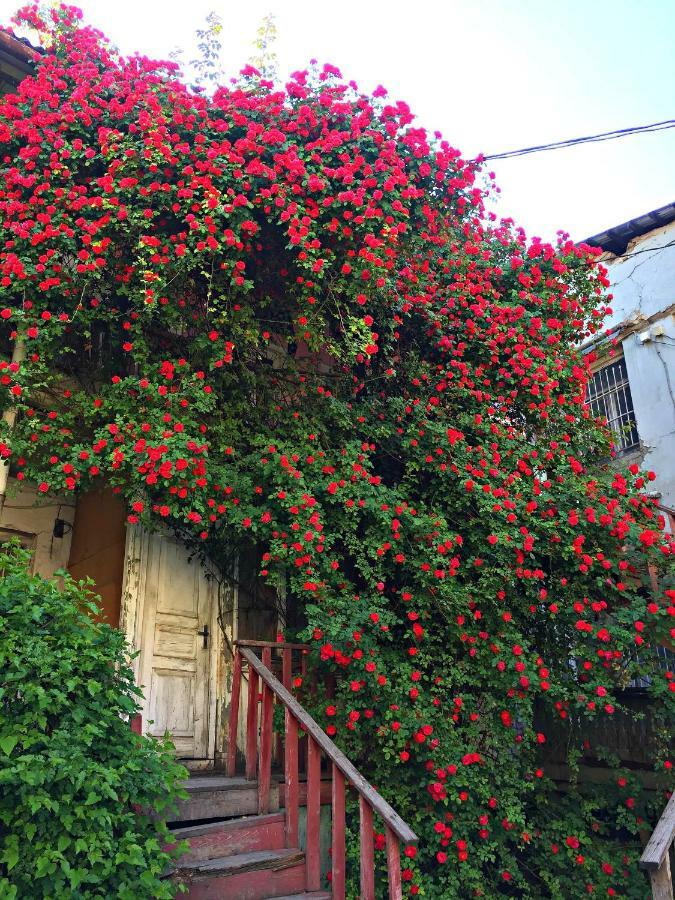 Apartment In Cozy Little Yard 第比利斯 外观 照片